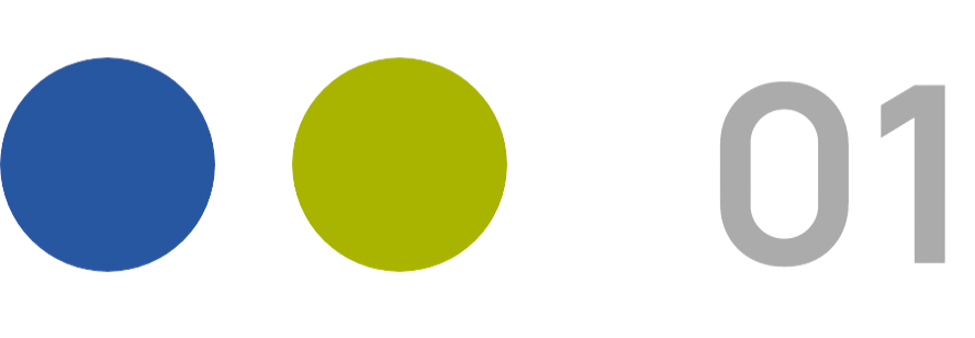 IT-Consulting
